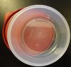 Friss tál, Piros (1 literes) - Tupperware