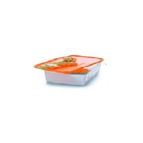   Hópelyhes Antarktisz fagyasztó doboz, narancs tetővel, 600 ml-es - Tupperware