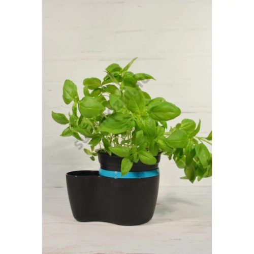 Fűszernövény tartó - Tupperware